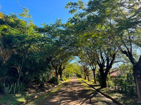 Terreno à venda em Elias Fausto, Cardeal, com 2800 m²