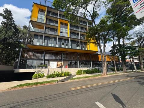 Andar Corporativo para alugar em Campinas, Nova Campinas, com 411.55 m²